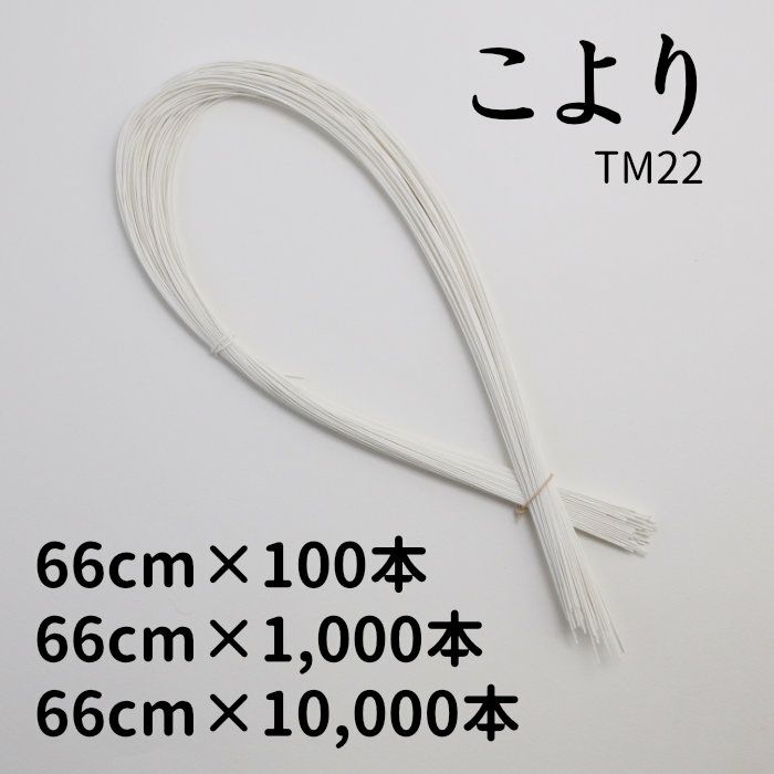 こより　66cm