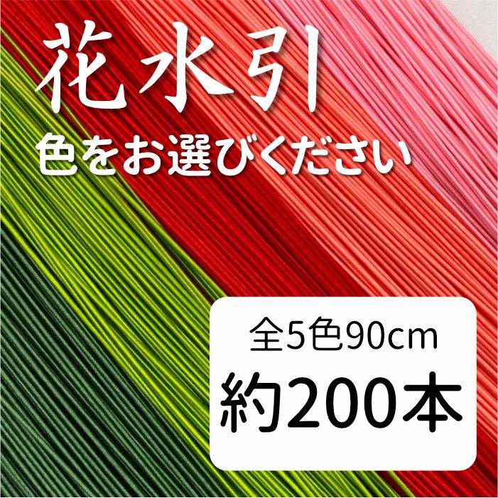 花水引　約200本入