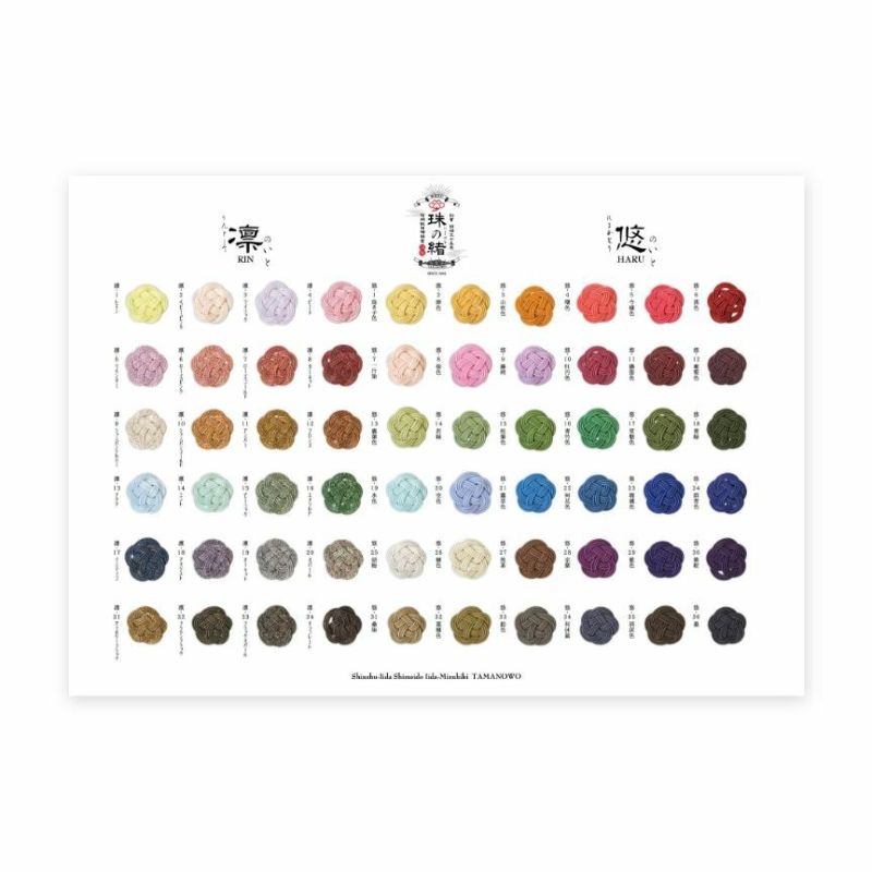 高級絹巻と羽衣水引　見本　パネルカタログ