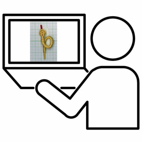 水引検定　 蛇を作る（木巻・ぼくまき）　2次検定　イメージ画像